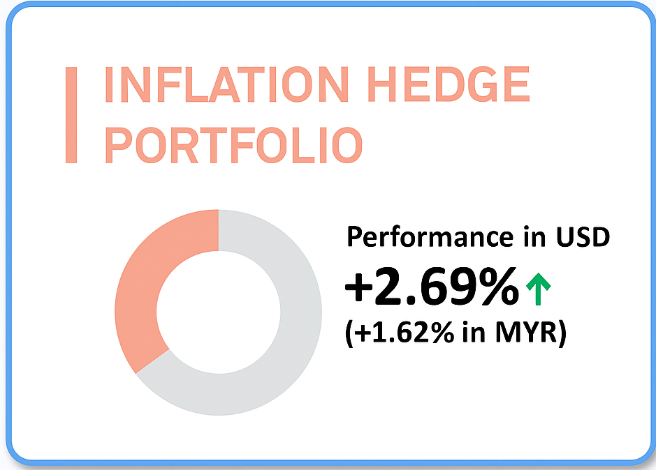 Inflation Hedge Portfolio Performance