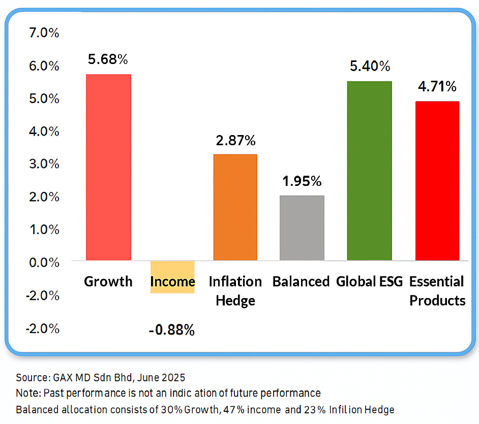 YTD 2025 Portfolio Return Chart